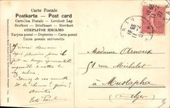 Vintage Postcard Bilberries