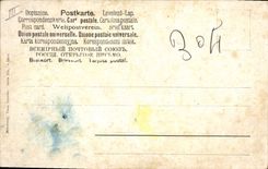 Vintage Postcard Grapes