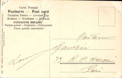 Vintage Postcard Pines