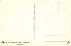 Vintage Postcard Fantasy Snapdragon Flowers