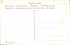 CPA Corrida Course de taureaux La estocada