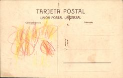 CPA Corrida Course de taureaux Toro bravo en el campo