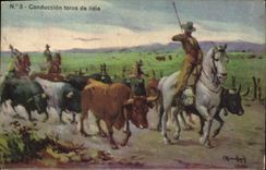 CPA Corrida Course de taureaux Conduccion toros de lidia 