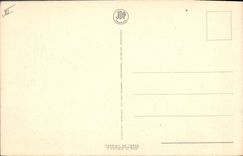 CPA Corrida Course de taureaux Brindis Offrant la mort au taureau