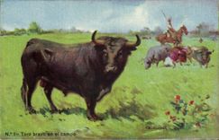 CPA Corrida Course de taureaux Toro bravo en el campo 