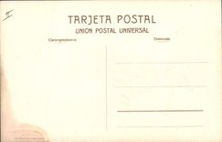 CPA Corrida Course de taureaux Toro bravo en el campo