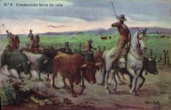 CPA Corrida Course de taureaux Conduccion toros de lidia 