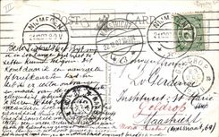 Postal Tenis Niño Vantage en