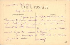 Vintage Postcard Tree Algiers Garden of test