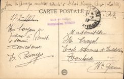 Vintage Postcard Rennes Tree Thabor the cedar of Lebanon