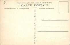 Vintage Postcard Tree Biarritz Hydrangeas and Tamarisk Path under the atalaye