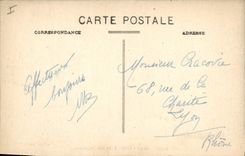 Vintage Postcard Tree Algiers Garden of test Gone of rubbers