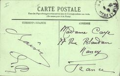 Vintage Postcard Tree Algiers Garden of test Gone of Youcas