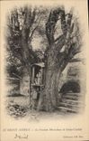 Vintage Postcard Tree Large Andely the miraculous fountain of Holy Clotilde