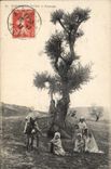 Vintage Postcard Tree Algeria Children