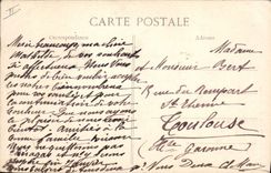 Vintage Postcard Tree Algeria Children