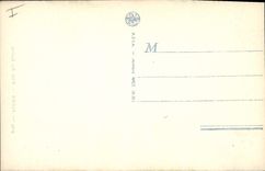 Vintage Postcard Algiers Tree Gone from the cacti