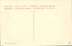 Vintage Postcard Fantasy Flowers Grapes