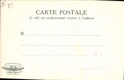 Vintage Postcard Fantasy Flowers Figs