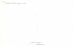 Vintage Postcard Fantasy Flowers Prune