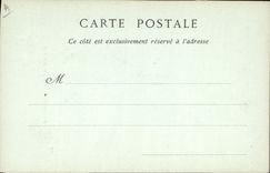 Vintage Postcard Fantasy Bracnhes Flowers of lemon tree