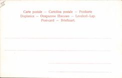 Vintage Postcard Fantasy Flowers Oranges