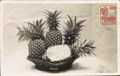 Vintage Postcard Fantasy Flowers Pineapple the Indies Dutchwomen