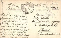 Vintage Postcard Fantasy Flowers Pineapple the Indies Dutchwomen