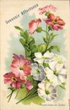 Vintage Postcard Fantasy Flowers Primulas of garden
