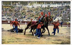 Vintage Postcard Bullfight Bullfight Bullfight of Toros Arrastre del Toro Horses Horse