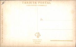 CPA Corrida Course de taureaux 