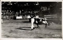 Vintage Postcard Bullfight Bullfight To the country From the Landes Races from the Landes the variation