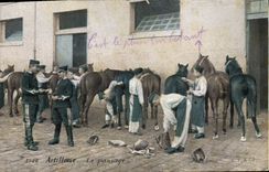 Vintage Postcard Militaria Artillery grooming Horse
