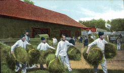 CPA Militaria Artillerie Le fourrage 