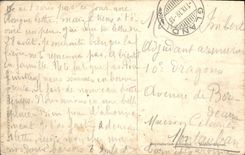 Vintage Postcard Tree Trees Cedar of Lebanon