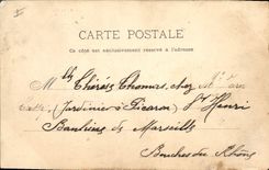 Vintage Postcard Tree Mounts of the Moors a drill of Liege oaks