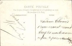 Vintage Postcard Tree Paris Wood of Vincennes One seen of the force of the cyclone of June 16th, 1908