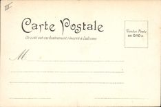 Vintage Postcard Tree Mustapha Garden of test the round not of the Ficus