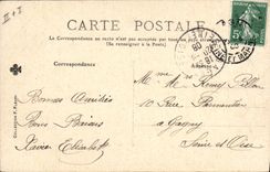 Vintage Postcard Tree Drill of Meudon the large cedar green Tree