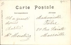 Vintage Postcard Tree Paris Botanical garden the cedar of Lebanon