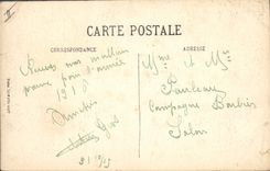 Vintage Postcard Rennes Tree the large cedar of Thabor