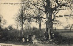 Vintage Postcard Tree Surroundings of Chateauneuf in Thymerais the Lorette oak