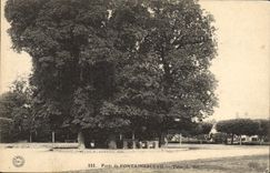 Vintage Postcard Arbre Drill of Fontainebleau Counts of the king