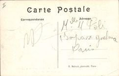 Vintage Postcard Tree Morello cherry Park of the Town hall the cedar of Lebanon