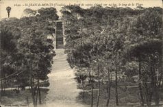 Vintage Postcard Tree St Jean de Monts the drill of fir trees