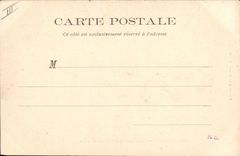 Vintage Postcard Tree Champrosay Drill of Senar Oak of Antin