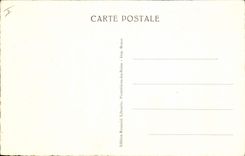 Vintage Postcard Tree Tutti-frutti the Baths Rays under the fir trees