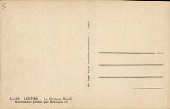 Vintage Postcard Arbre Loaches the royal castle Marronnier plants by François 1st