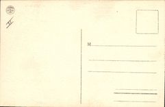 Vintage Postcard Tree Drill of the Cedars of Teniet El Haad