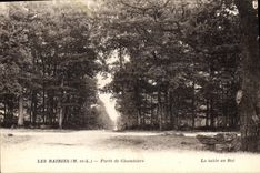 Vintage Postcard Tree Rairies Drill of Chambiers